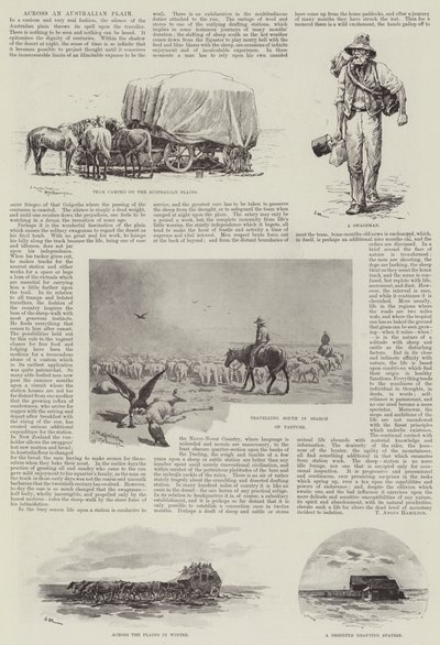 Across an Australian Plain (engraving) by J. Macfarlane